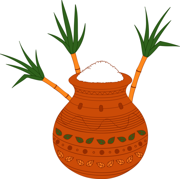 Transparent Pongal Carrot Plant Grass family for Thai Pongal for Pongal