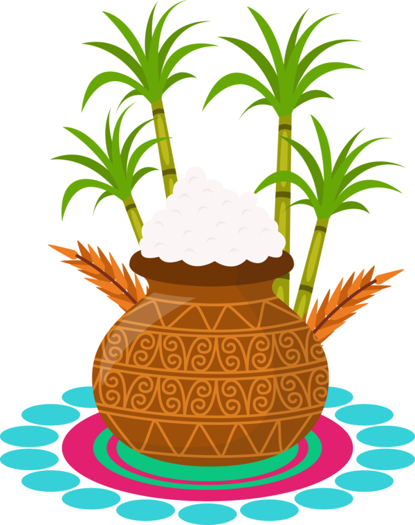 Transparent Pongal Ananas Pineapple Plant for Thai Pongal for Pongal