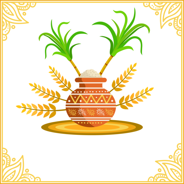 Transparent Pongal Yellow Plant Ananas for Thai Pongal for Pongal