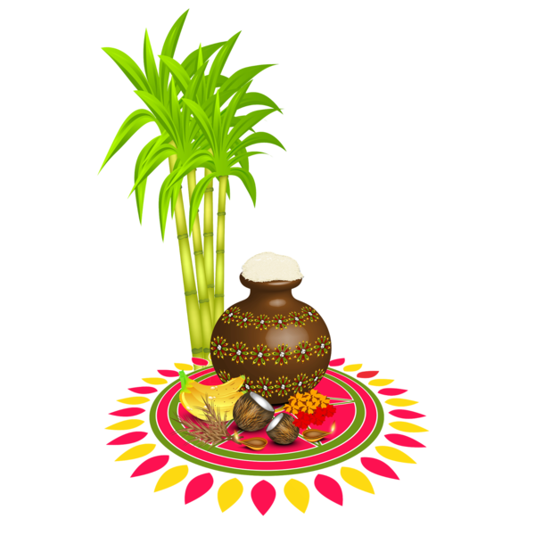 Transparent Pongal Palm tree Tree Plant for Thai Pongal for Pongal