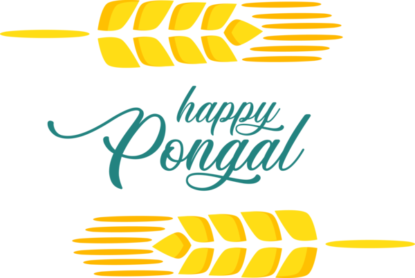 Transparent Pongal Yellow Line Font for Thai Pongal for Pongal