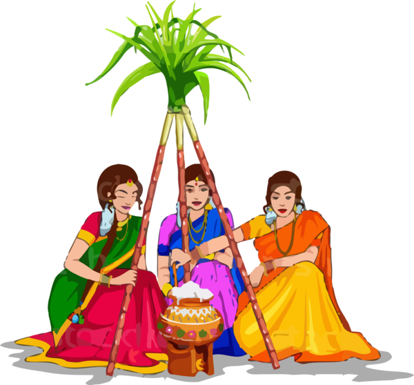 Transparent Pongal Costume for Thai Pongal for Pongal