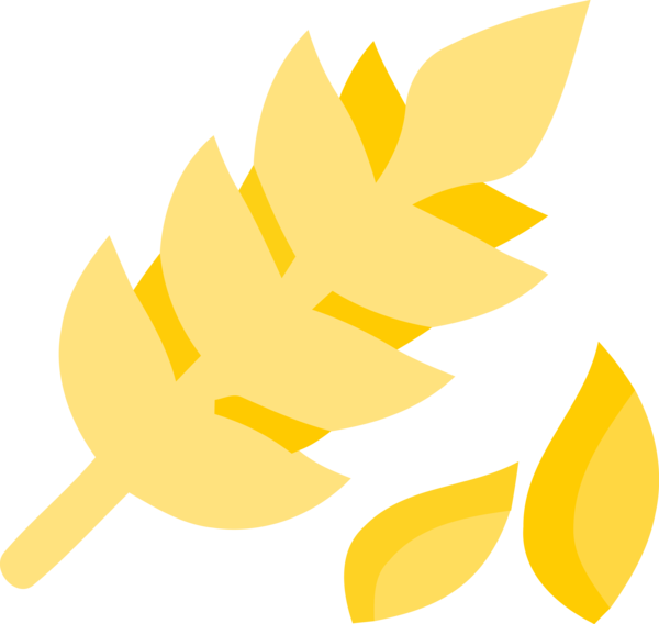 Transparent Pongal Yellow Leaf for Thai Pongal for Pongal