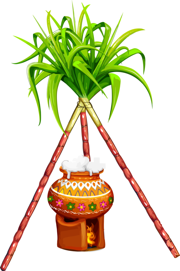 Transparent Pongal Flowerpot Houseplant Plant for Thai Pongal for Pongal