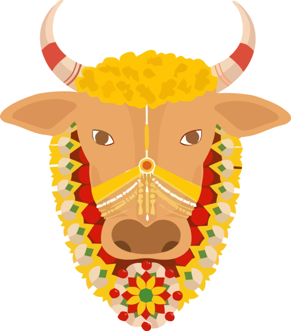 Transparent Pongal Bovine Bull Snout for Thai Pongal for Pongal