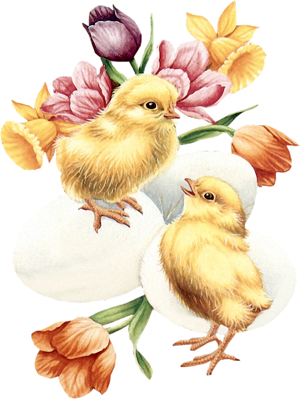 Transparent Animation Cartoon Christmas Day Chicken Flower for Easter