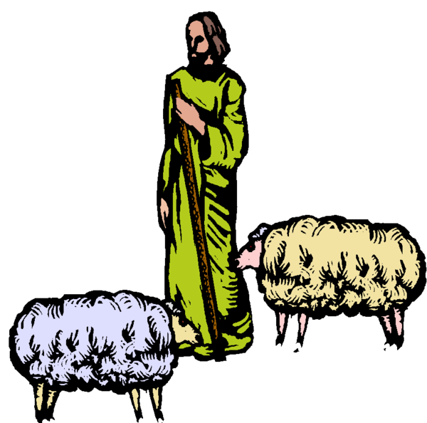 Transparent Sheep Christmas Day Cartoon Livestock for Christmas