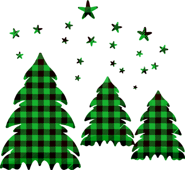 Transparent Christmas oregon pine Colorado spruce Tree for Christmas Tree for Christmas