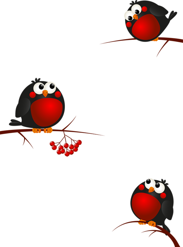 Transparent Christmas Bird Drawing Red Ladybird for Christmas