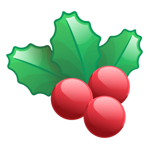 Transparent Mistletoe Christmas Leaf Grapevine Family for Christmas
