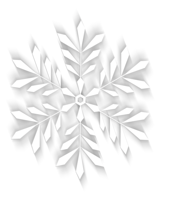 Transparent Christmas Day Symmetry White Black And White for Christmas