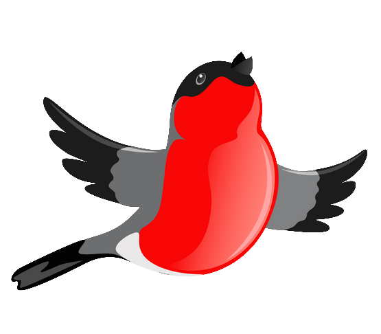 Transparent Bird Drawing Beak for Christmas