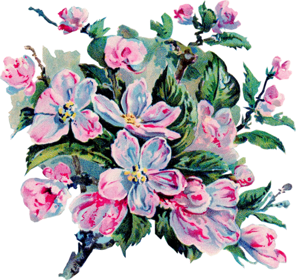 Transparent Floral Design Flower Cut Flowers Pink for Valentines Day