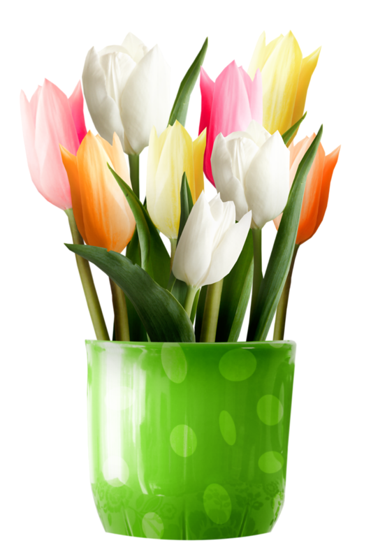 Transparent Flower Tulip Floral Design Cut Flowers for Valentines Day