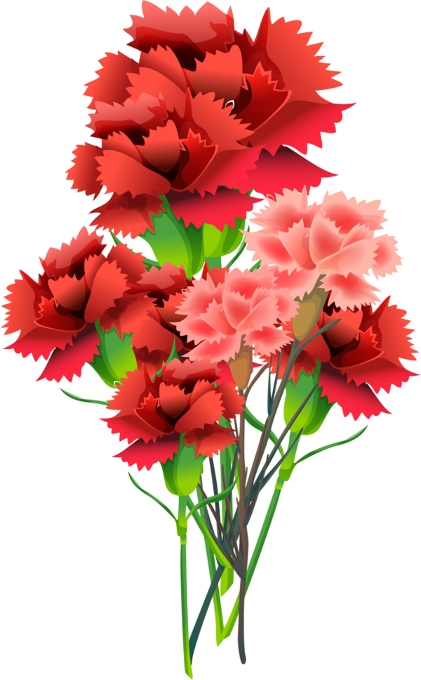 Transparent Flower Bouquet Floral Design Cut Flowers Flower for Valentines Day