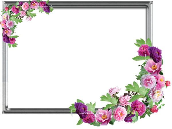 Transparent Paper Floral Design Picture Frames Pink Picture Frame for Valentines Day