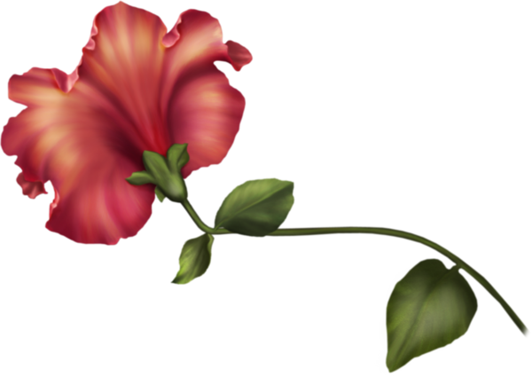 Transparent Flower Cut Flowers Petal Plant for Valentines Day