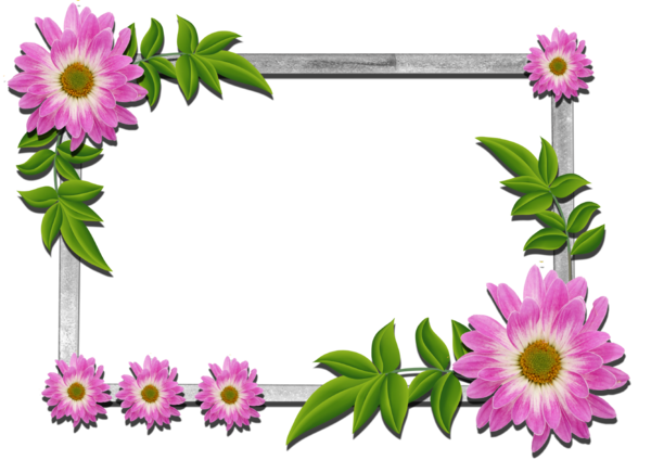 Transparent Picture Frames Flower Floral Design Plant for Valentines Day