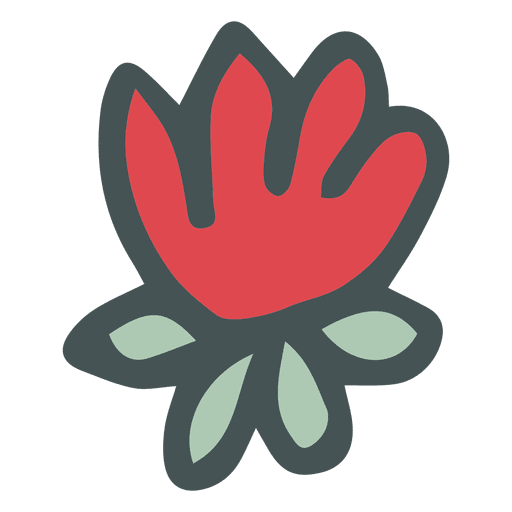 Transparent Drawing Poinsettia Animation Logo Flower for Christmas