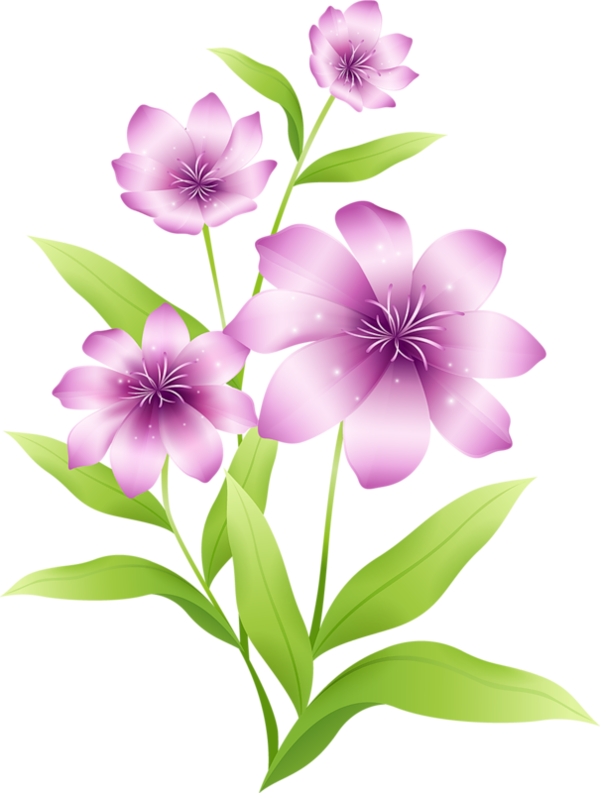 Transparent Flower Purple Pink Plant for Valentines Day