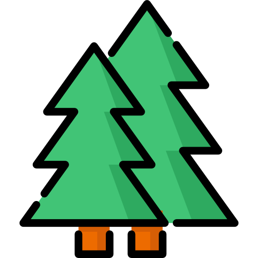 Transparent Tree Fir Evergreen Green Christmas Tree for Christmas