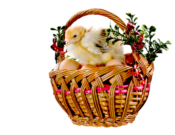 Transparent Easter Holiday Animation Basket Christmas Ornament for Easter