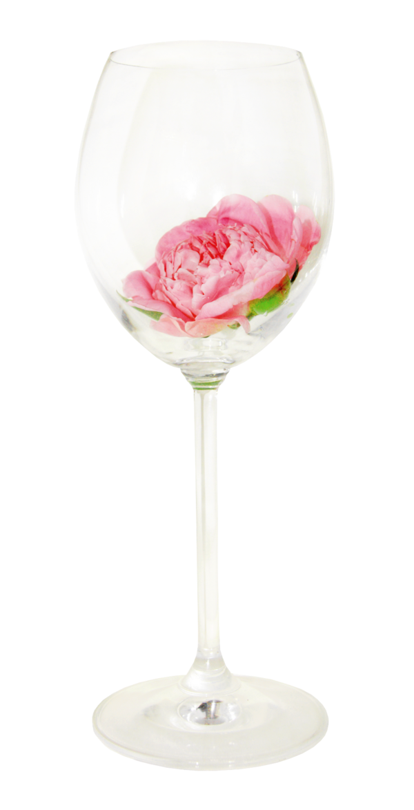 Transparent Wine Glass Paper Garden Roses Pink Flower for Valentines Day