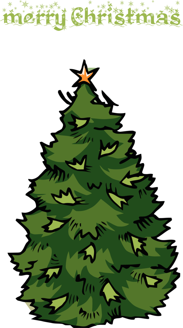 Transparent Christmas Colorado spruce shortleaf black spruce Tree for Christmas Tree for Christmas
