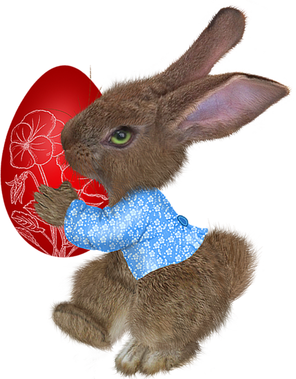 Transparent Easter Bunny Easter Paschal Greeting Hare Snout for Easter