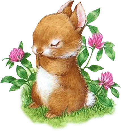 Transparent Easter Bunny European Rabbit Hare Flower Stuffed Toy for Easter