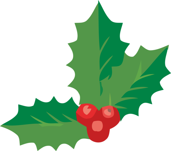 Transparent Christmas Holly Leaf Plant for Holly for Christmas