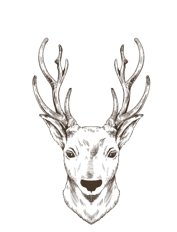 Transparent Reindeer Elk Deer Head for Christmas