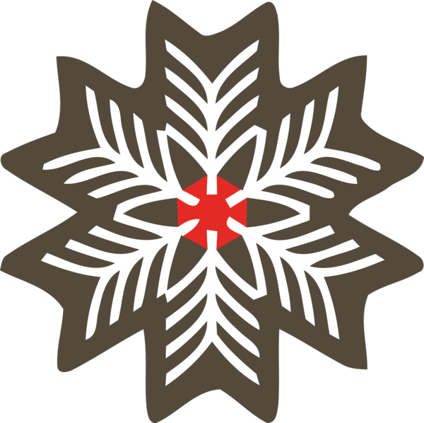 Transparent Christmas Leaf Plant Symmetry for Snowflake for Christmas