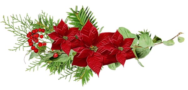 Transparent Flower Red Plant for Christmas