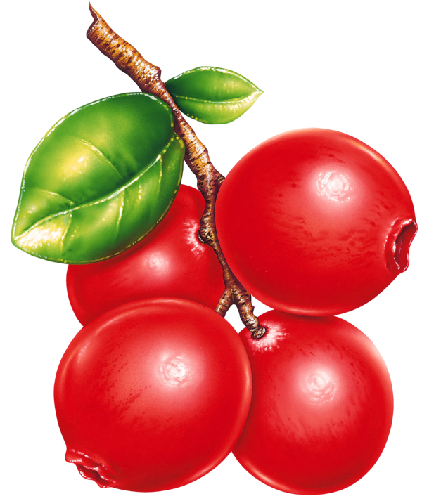 Transparent Fruit Berry Fruit Preserves Tomato Superfood for Christmas