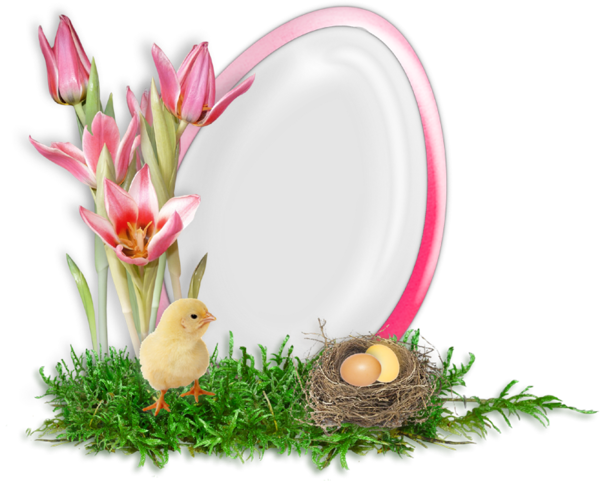 Transparent Easter Picture Frames Easter Egg Flower Floristry for Easter