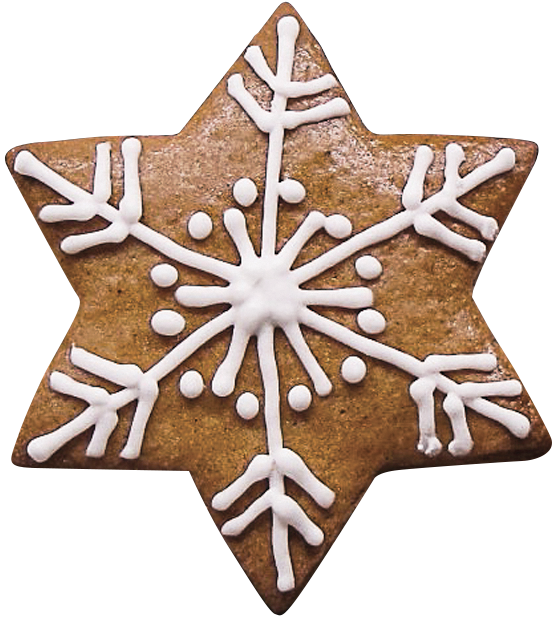 Transparent Lebkuchen Cookie Snowflake Food Gingerbread for Christmas
