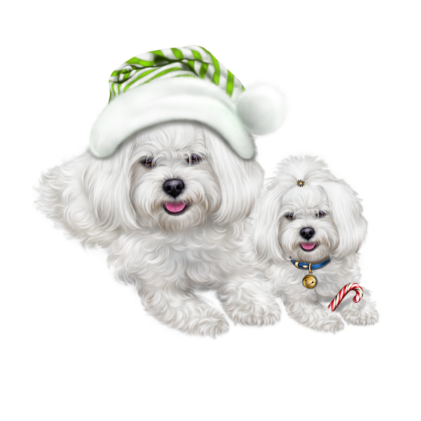 Transparent Dog 2018 Symbol Maltese for Christmas