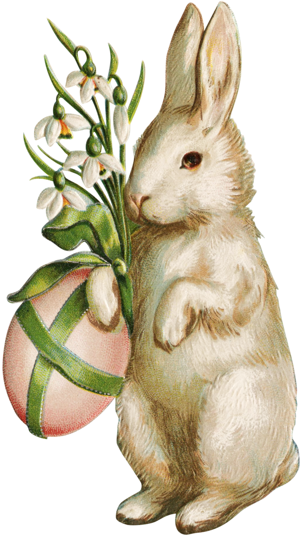 Transparent Easter Bunny Wedding Invitation Easter Food Hare for Easter