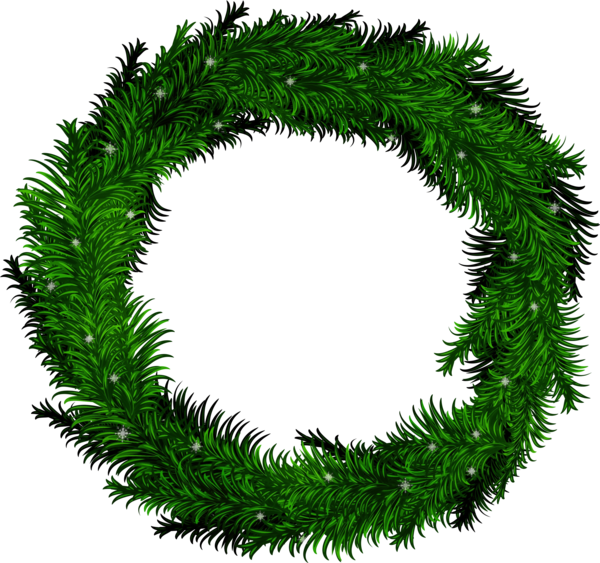 Transparent Christmas Decoration Green Oregon Pine for Christmas