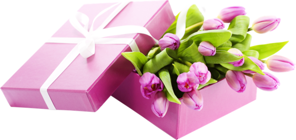 Transparent Gift Flower Flower Bouquet Pink for Valentines Day