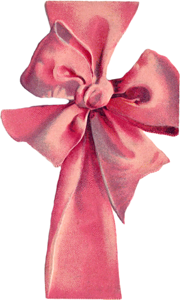 Transparent Post Cards Garden Roses Digital Stamp Flower Pink for Valentines Day