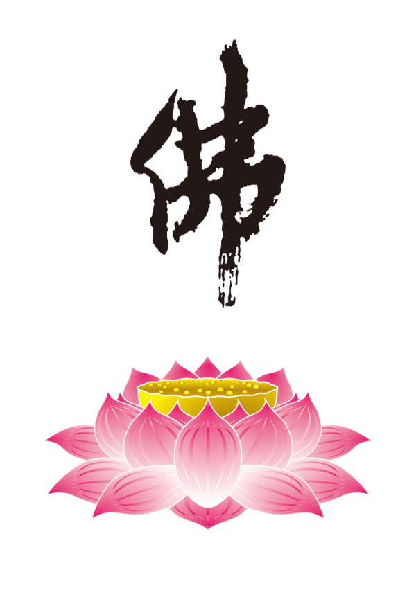 Transparent Lotus Sutra Nelumbo Nucifera Buddhism Pink for Bodhi Day