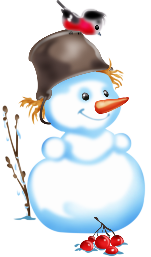 Transparent Old New Year New Year Holiday Snowman Beak for Christmas
