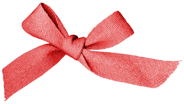 Transparent Butterfly Ribbon Red Pink Bow Tie for Christmas
