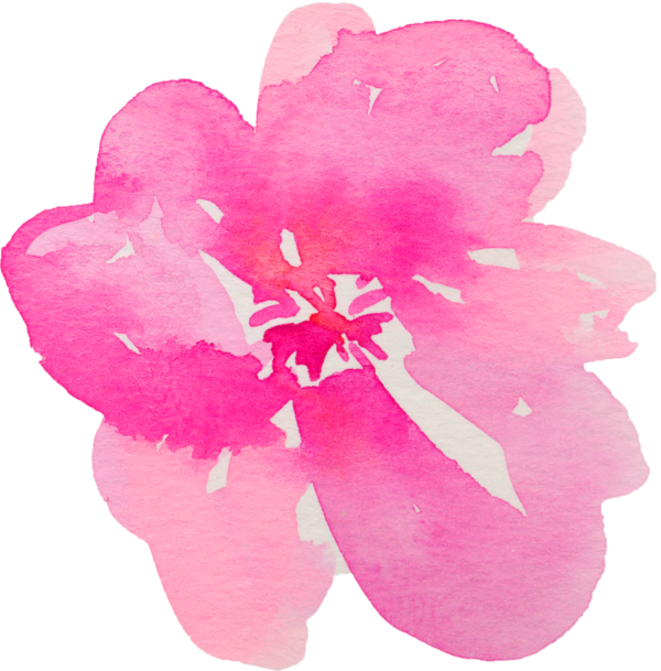 Transparent Bible Hebrews 10 Epistle To The Hebrews Pink Flower for Valentines Day