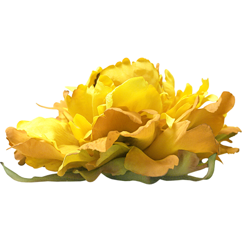 Transparent Cut Flowers Flower Floristry Yellow for Valentines Day