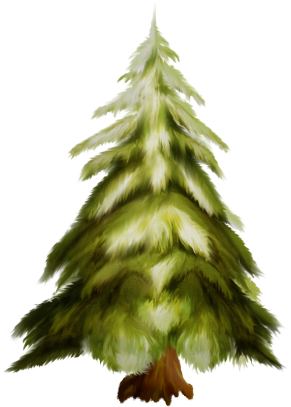 Transparent White Pine Oregon Pine Tree for Christmas