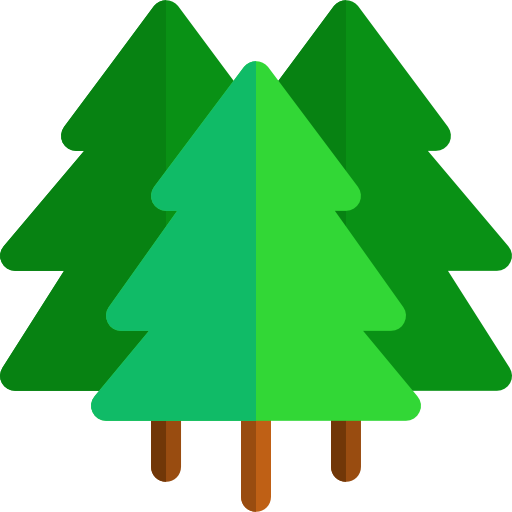 Transparent Miyanomori Miyanomori 1 Jo Smile Marche Christmas Tree Oregon Pine for Christmas