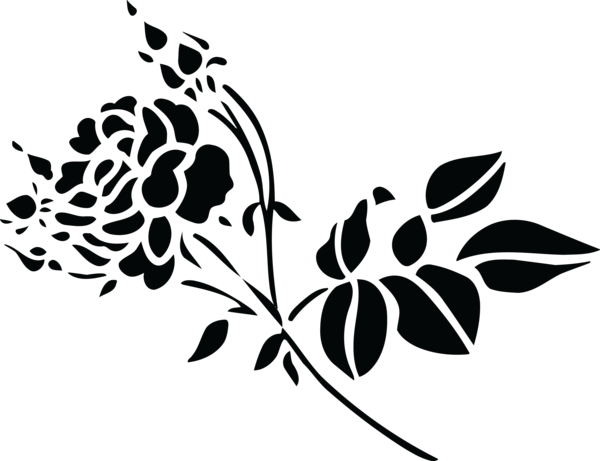 Transparent White Rose Black Flora Flower for Valentines Day